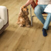 IMU8256-2 Panele Laminowane Quick-Step Impressive Ultra Dąb truflowy IMU8256